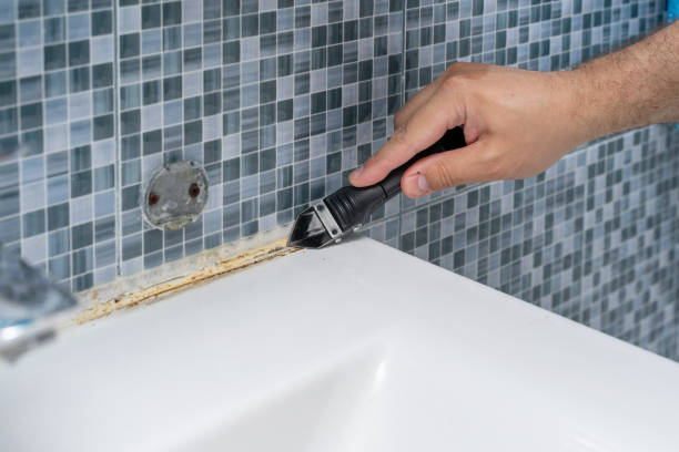 Office Mold Removal Services in Maeser, UT